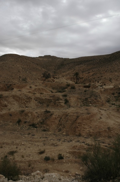  DSC0230
